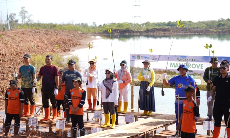 Hari Mangrove Sedunia 2026, Tanah Bumbu Tanam Mangrove untuk Generasi Mendatang