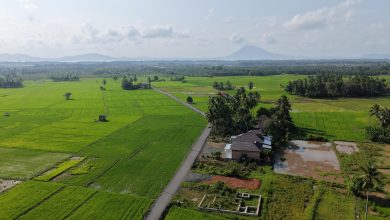 Bupati Andi Rudi Latif Dorong Produktivitas Petani dan Petambak Lewat Pengaspalan Jalan di Desa Sepunggur