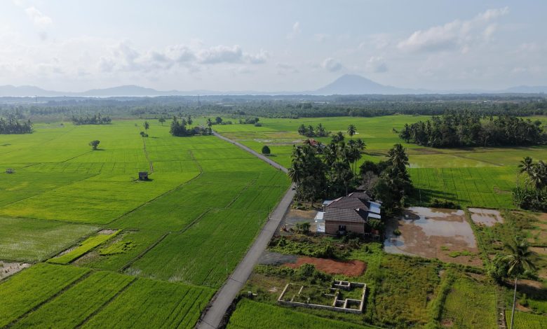 Bupati Andi Rudi Latif Dorong Produktivitas Petani dan Petambak Lewat Pengaspalan Jalan di Desa Sepunggur