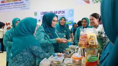 Andi Irmayani Tekankan Peningkatan Kapasitas Kader PKK Tanah Bumbu Lewat Jambore